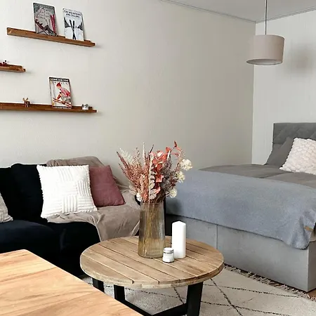 Grand Au Coeur De Et Au Pied Des Pistes Appartement